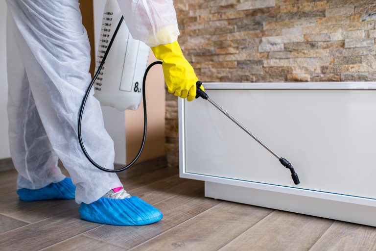 home pest control services in sydney