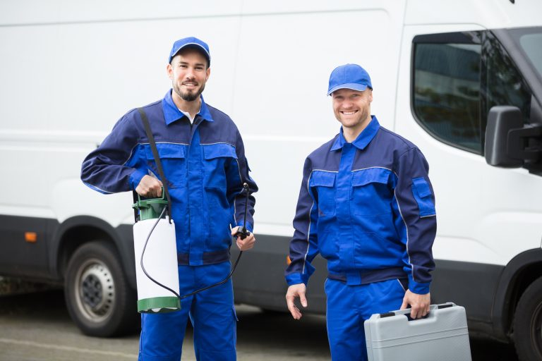 pest control sydney services for homes and businesses
