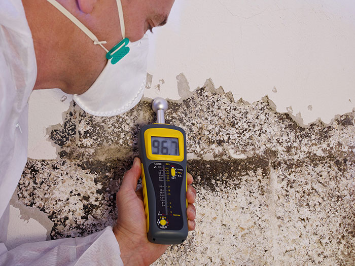 pest control moisture meter to detect termite infestation