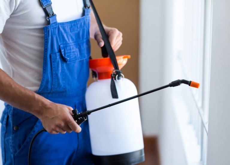 pest control services to stop cockroaches, termites, rodents, and other common pests in Sydney