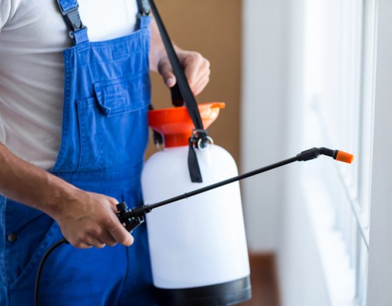 pest control sydney services for businesses and residential properties