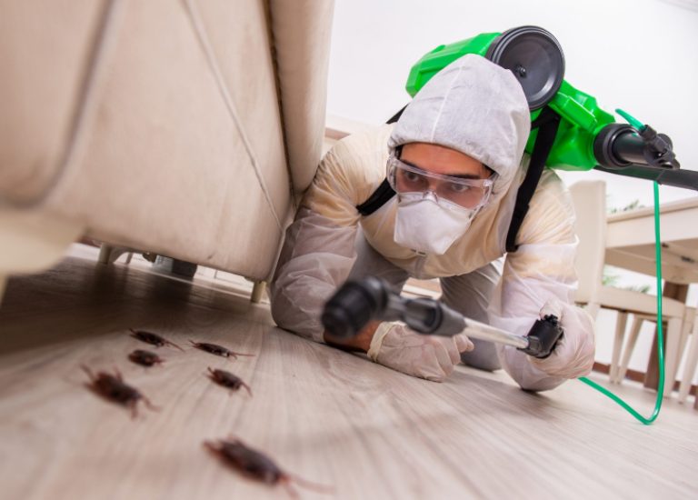 pest control sydney and building and pest inspection for homes and businesses in Sydney