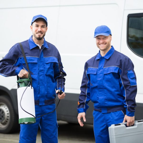 pest control sydney services for homes and businesses
